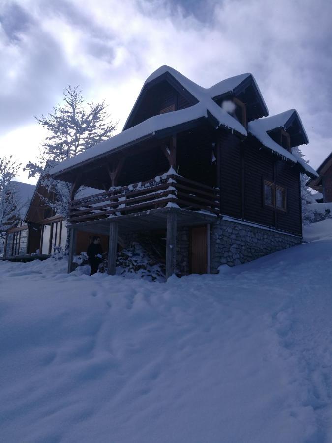 Brvnare Libero Tara Casa vacanze *